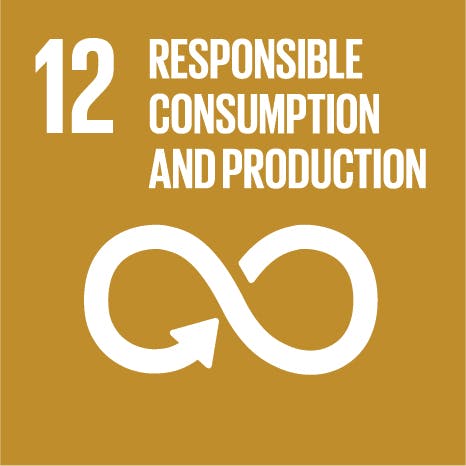 Industry, innovation and infrastructure - Sustainable Development Goals