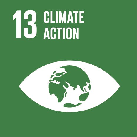 Climate action - Sustainable Development Goals